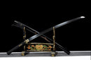 Blade of Darkness Katana