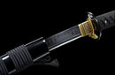Blade of Darkness Katana
