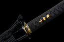 Blade of Darkness Katana