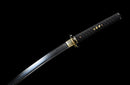 Blade of Darkness Katana