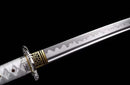 Katana Protective Blade