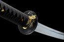 Blade of Darkness Katana