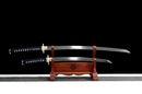 Shiro Katana Set